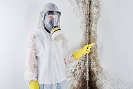 Best Forensic Mold Investigation in West Odessa, TX